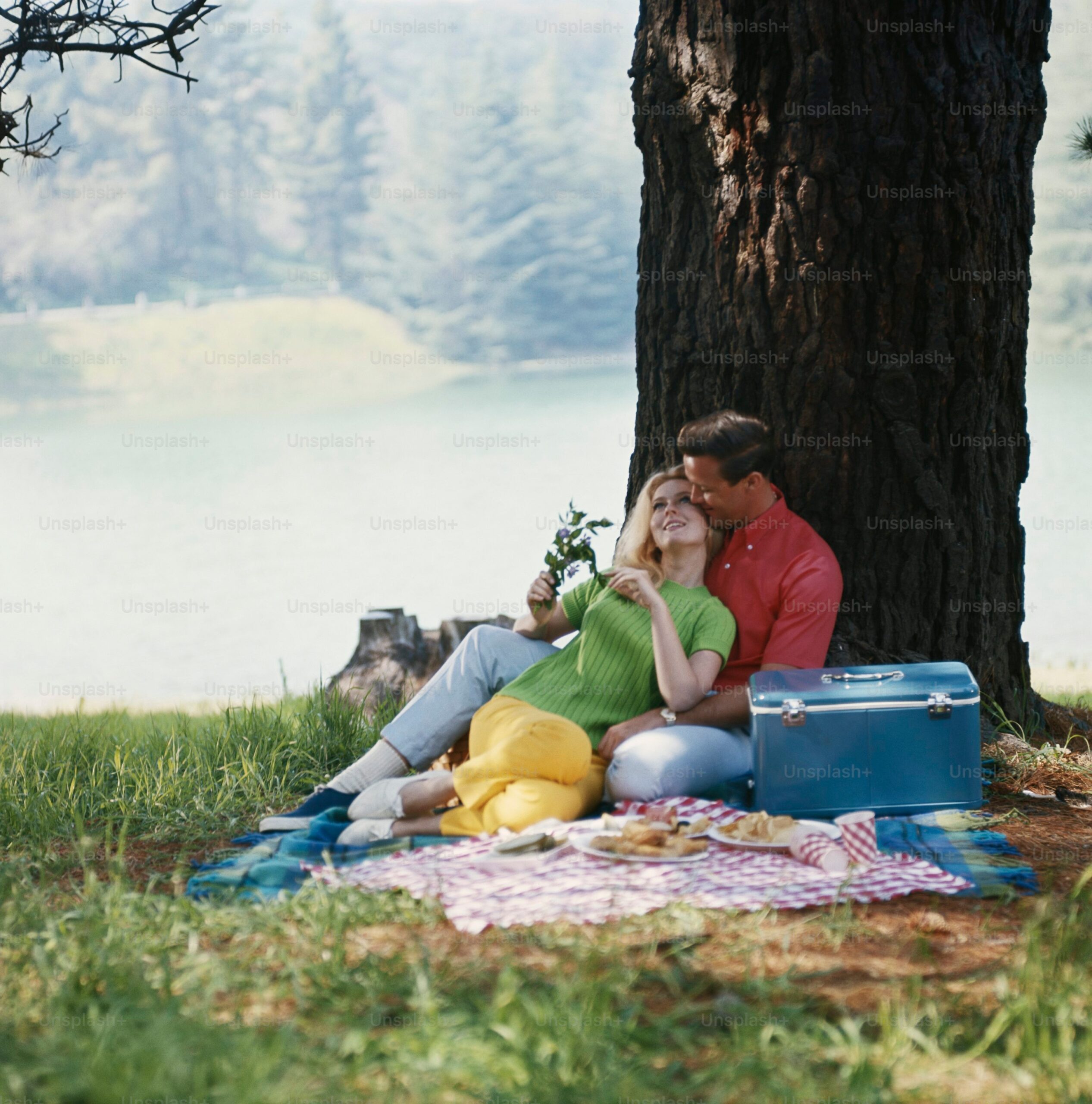 premium_photo-1664391872049-bf05f1ccae0a